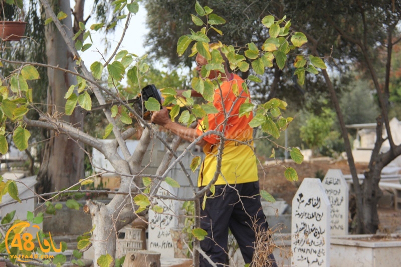 tasoooi3i1412 (23).JPG